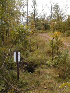 Orientation view, facing SSW toward utility pole.