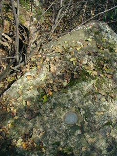 Eyelevel view of the mark on the boulder.