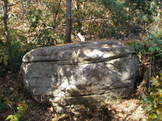 The station disk and boulder.