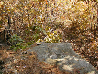 Orientation view, facing SSW toward utility pole.
