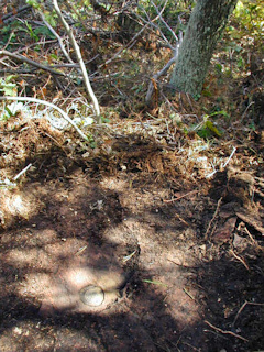 The mark emerges from the debris.