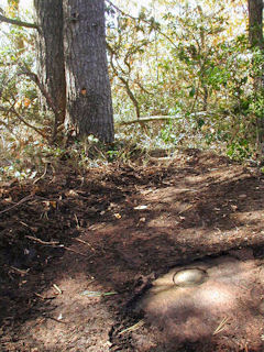 View to the west, showing the mark on the boulder and twin pines.