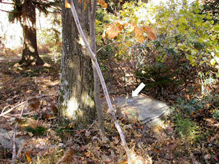 Eye-level view of the mark on the boulder.