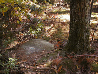 Orientation view, facing south.