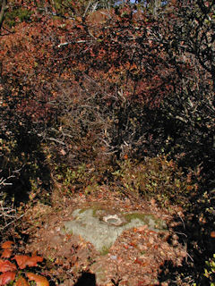 Orientation view, facing northeast and the lookout tower.