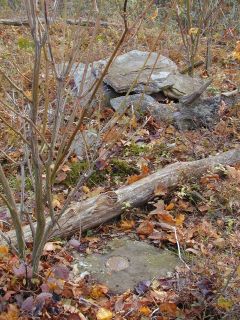 Orientation view, facing ESE and cairn remains.