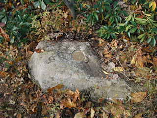 Eyelevel view of the disk on the boulder.