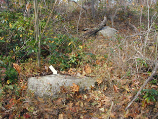 Looking NE toward the trail.