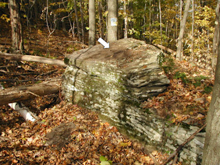 The boulder that holds the tri-station.