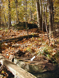 Looking west from RM 2 toward the boulder that holds the station.