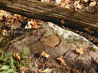 Eyelevel view of reference mark and setting.