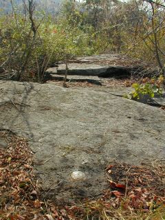 Orientation view, facing southeast, overlooking ledge.