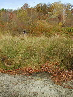 Orientation view, facing northeast, Zhanna at RM1 (look closely).