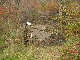 Looking NE toward the boulder that holds the mark.