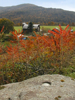 Looking SE toward the farm.