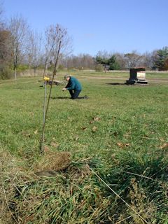 Looking NNE toward toward the station; Rich kneels at the station mark.