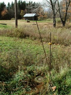 Orientation view, facing southwest and powerpole.