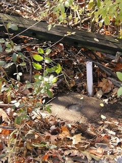 Eyelevel view of the monument and disk.