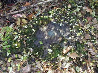 Eyelevel view of the reference mark on the outcropping.