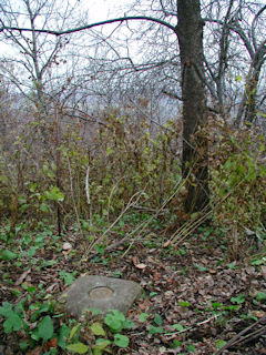 The station disk surrounded by brush and weeds.