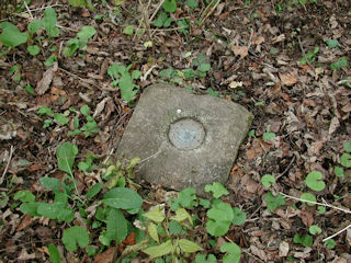 Eyelevel view of station mark and setting.