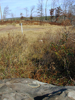 Looking north to Lake Laura Rd.