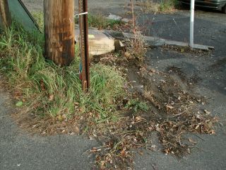 Eyelevel view of the suspected location of mark.