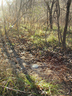 Facing west into the brush.