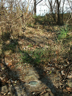 Orientation view, facing east and powerpole.