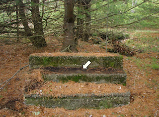 The steps stand in the middle of this wooded area.