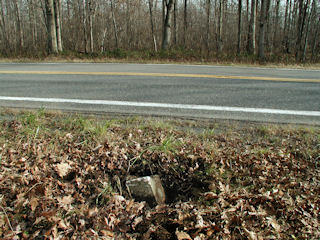 Orientation view, facing northeast and Rt. 402.