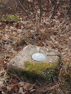 The monument projects about four inches and sits in scrub oak.