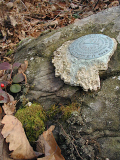 The disk is secure in the boulder.