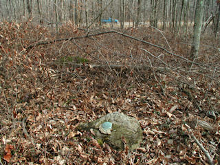 Orientation view, facing east and Rt. 402.