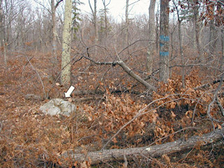 Looking SW toward the empty lot beyond the knoll..