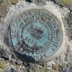 NGS Bench Mark Disk M 235