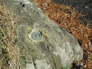 Eye-level view of the mark on the boulder.