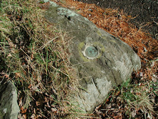 Eyelevel view of station mark and setting.