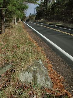 Orientation view, facing north along Rt. 402.