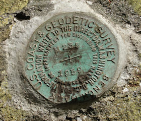 NGS Bench Mark Disk M 235