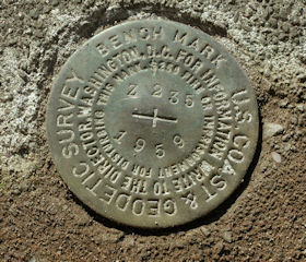 NGS Bench Mark Disk Z 235