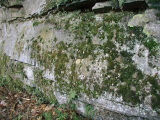 Eye-level view of the mark set in the ledge.