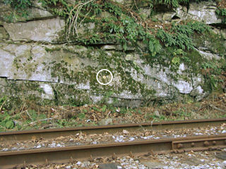 Looking SW across the tracks.