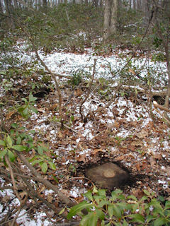 Looking NNW, toward the trail.