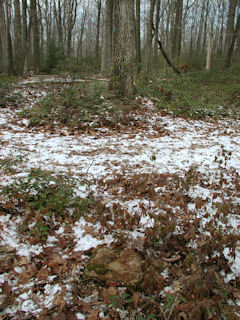 Orientation view, facing north and the trail.