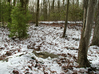 Orientation view, facing south and North Shore Rd.