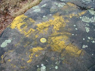 A yellow X has been painted over the mark, possibly to make its location visible from above.