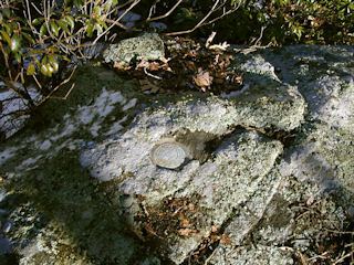 Eyelevel view of the disk set into the large boulder.