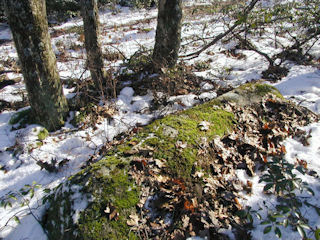 View of the outcropping boulder, facing SE.