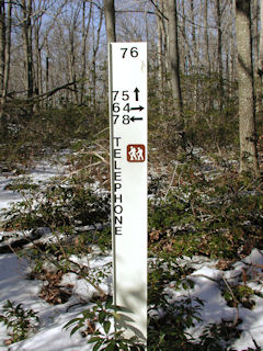 Marker, junction of Telephone & Bruce Lake trails.